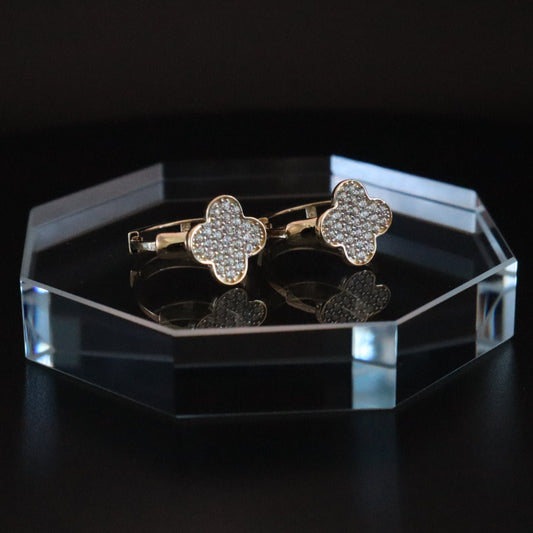Women's Fancy Earrings