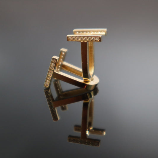 Women's Fancy Earrings Tfny
